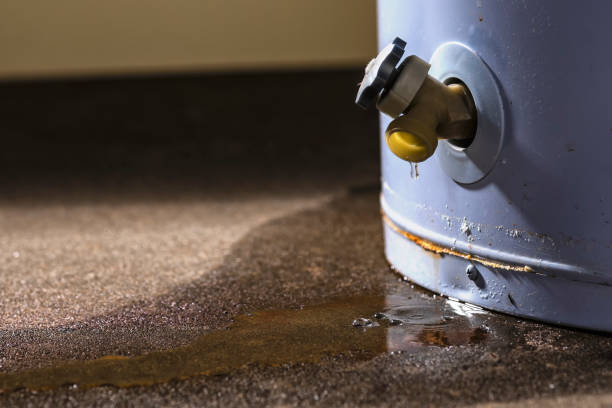 Water damage restoration experts in Fairfax Station, VA