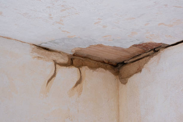 Best Mold removal after water damage  in Fairfax Station, VA