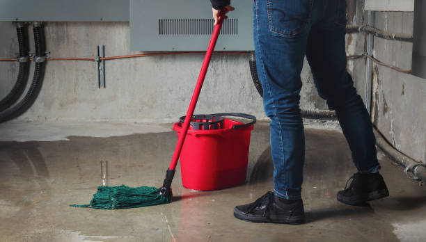 Best Professional water damage repair  in Fairfax Station, VA