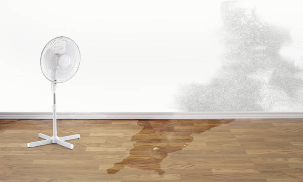 Sewage cleanup and water damage restoration in Fairfax Station, VA